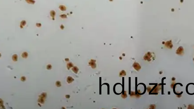 關于水性塗料的(de)閃鏽問題