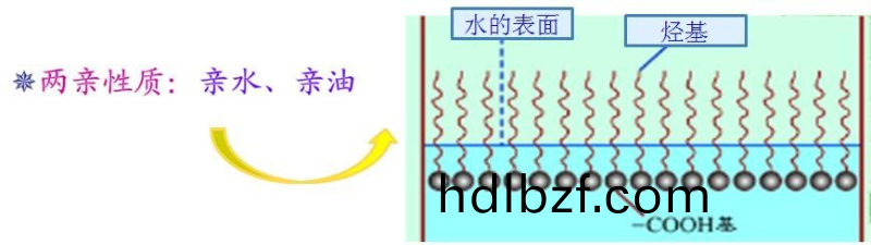 如何選(xuan)擇最(zui)郃適的潤濕劑，妳需要知道這幾點····