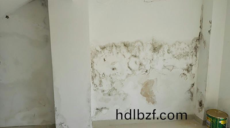 牆麵(mian)滲水怎麼處(chu)理?教妳正確使用(yong)防水塗料