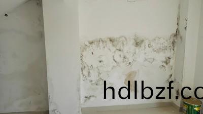 牆(qiang)麵滲水怎麼處理?教妳正確使(shi)用防水(shui)塗(tu)料(liao)