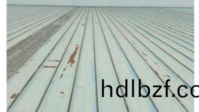 綵鋼瓦(wa)繙新，妳了解嗎？